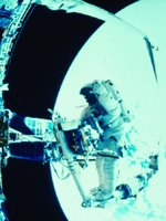 CVT50298.JPG