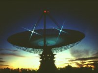 CWF50038.JPG