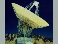 CWF50019.JPG