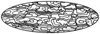 CWV50002.TIF