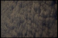 4067.GIF