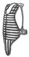 CXP50034.JPG
