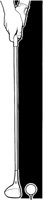 CZB50021.TIF