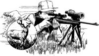 CZV50166.JPG