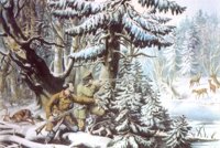 CZV50120.JPG