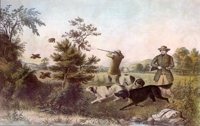 CZV50106.JPG