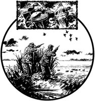 CZV50036.TIF