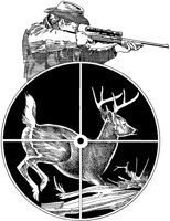 CZV50019.TIF