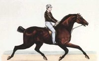 DAL50061.JPG