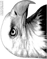 EAGLE1.GIF