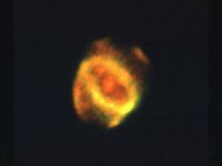 DDC50017.JPG