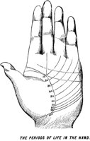 DFL50006.TIF