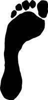 DFM00333.WMF