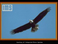EAGLE1_I.GIF