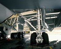 DFO50056.JPG