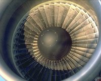 DFO50054.JPG