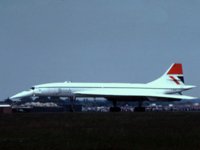 DFO50037.JPG