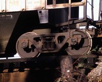 DGV50077.JPG