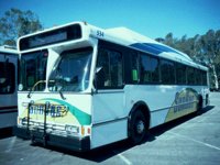 DGO50016.JPG