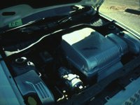 DHG50012.JPG