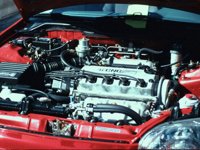 DHG50004.JPG