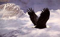 EAGLE9.GIF