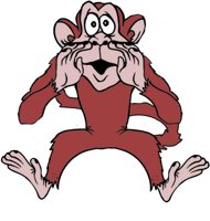 ca0521.jpg