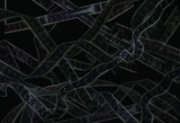 ca1219.jpg
