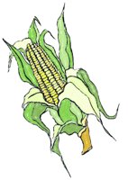 ca3137.jpg