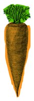 ca3100.jpg