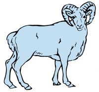 ca4028.jpg