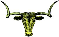 ca4024.jpg