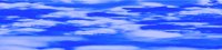 ca5079.jpg