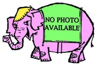 ca7301.jpg