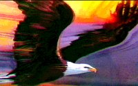 EAGLE_F.GIF