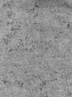 ba1175.jpg
