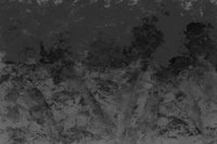 ba1107.jpg