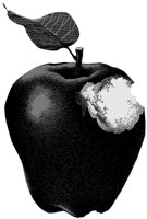 ba3103.jpg