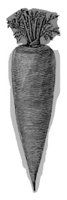 ba3100.jpg