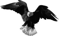 ba4071.jpg
