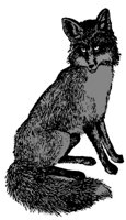 ba4045.jpg