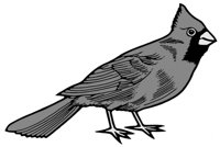 ba4035.jpg