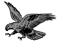 ba4032.jpg