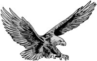 ba4031.jpg