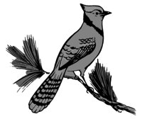ba4030.jpg