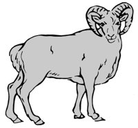 ba4028.jpg