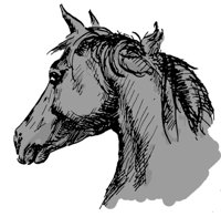 ba4027.jpg
