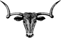 ba4024.jpg