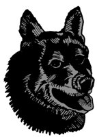 ba4022.jpg