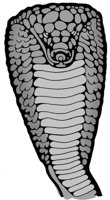 ba4005.jpg